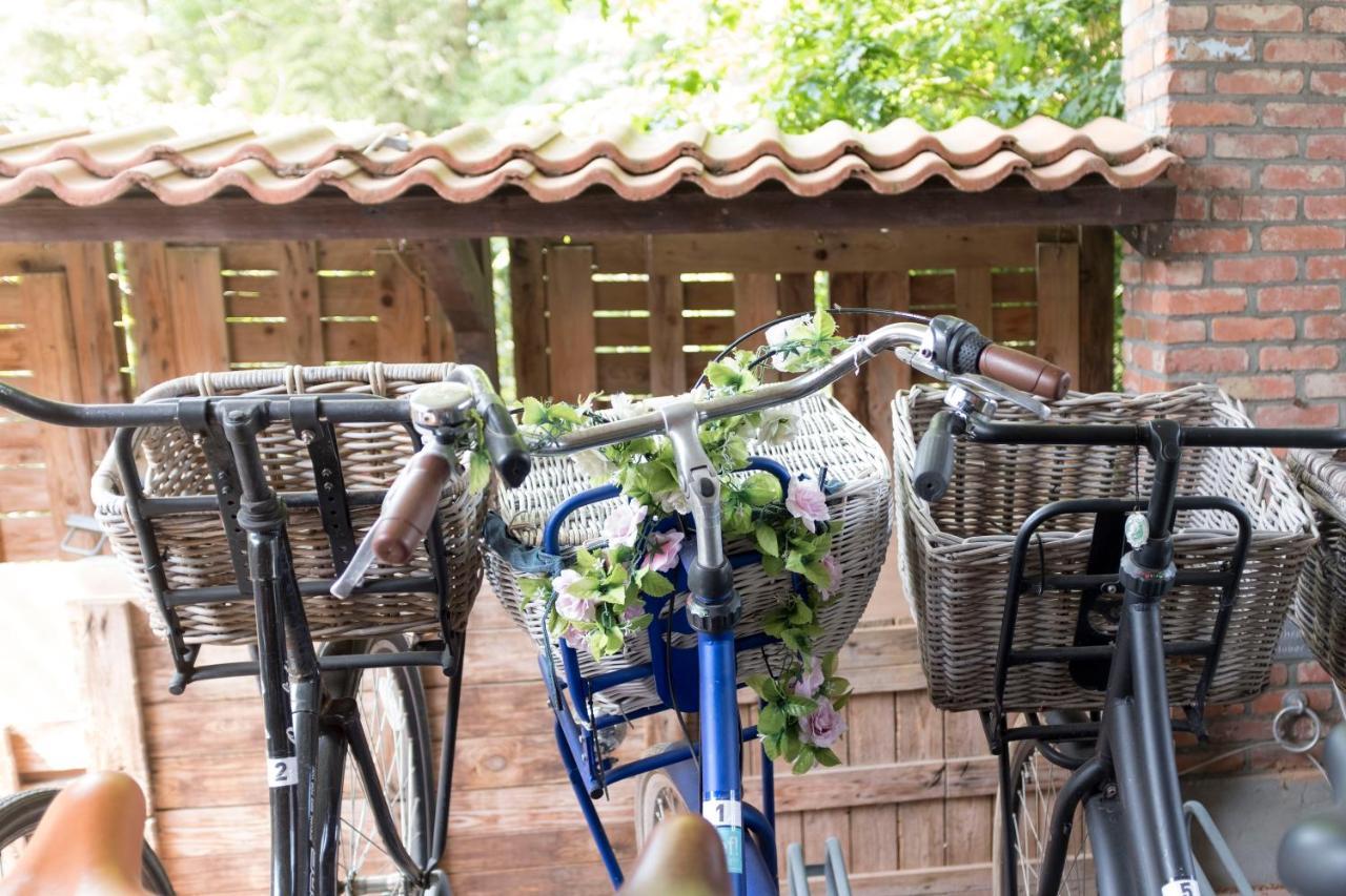 Cottage Markdal Μπρέντα Εξωτερικό φωτογραφία
